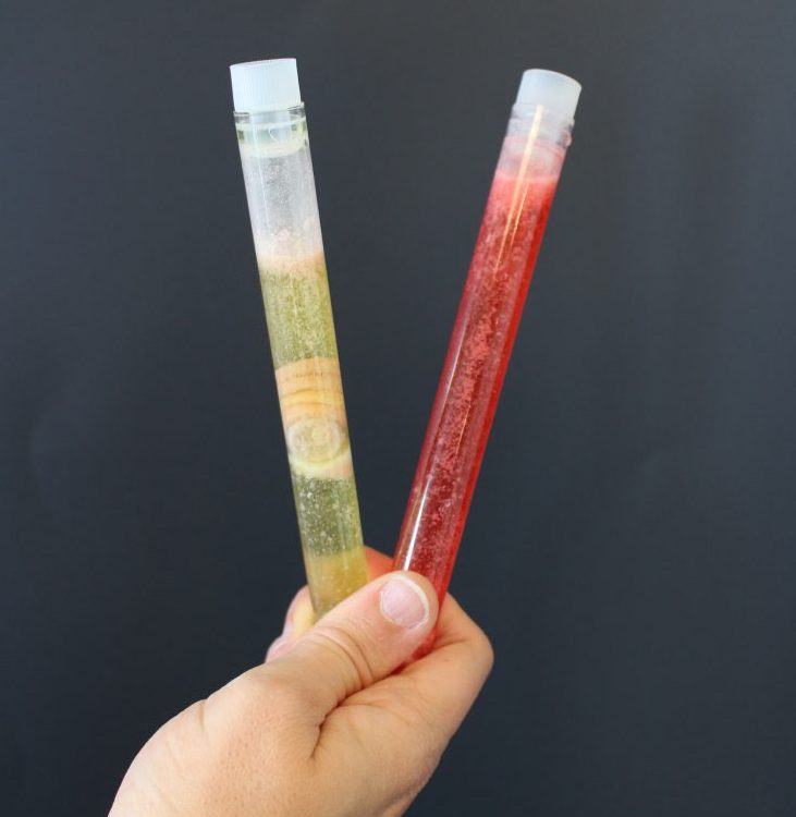 Test tubes filled with candy and corn syrup