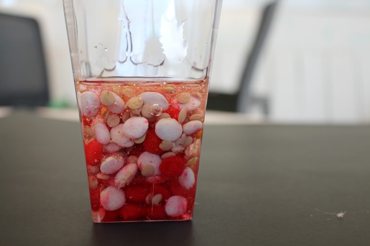 A cup filled with corn syrup, assorted beans, and red candies in order to illustrate blood underneath a microscope