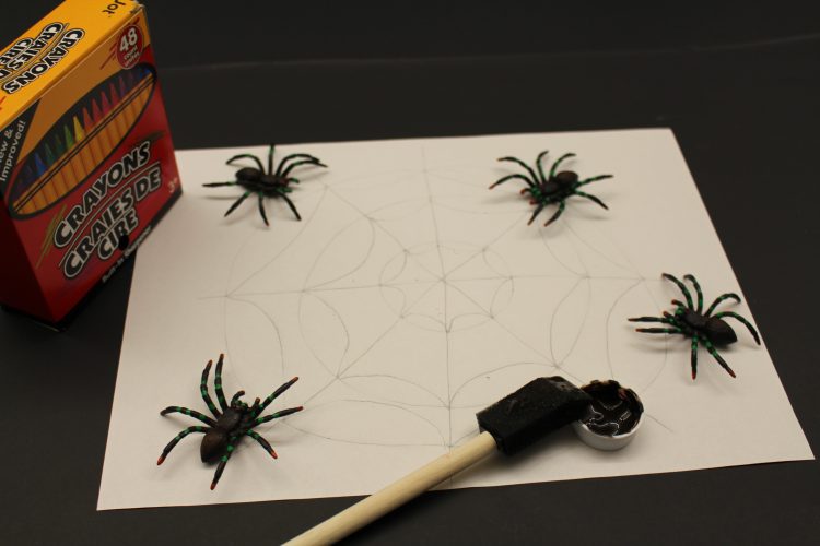 Illustration of a spider web with all necessary materials to create a "magic" spider web