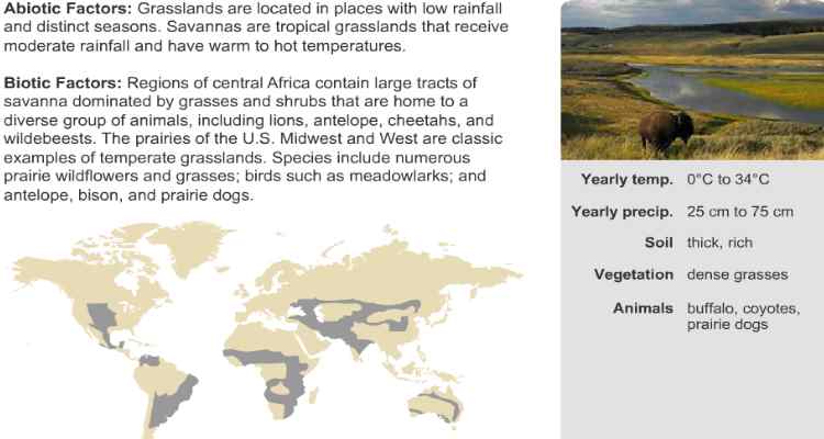 6th-8th Grade Science Activity: Biomes - Learning Liftoff