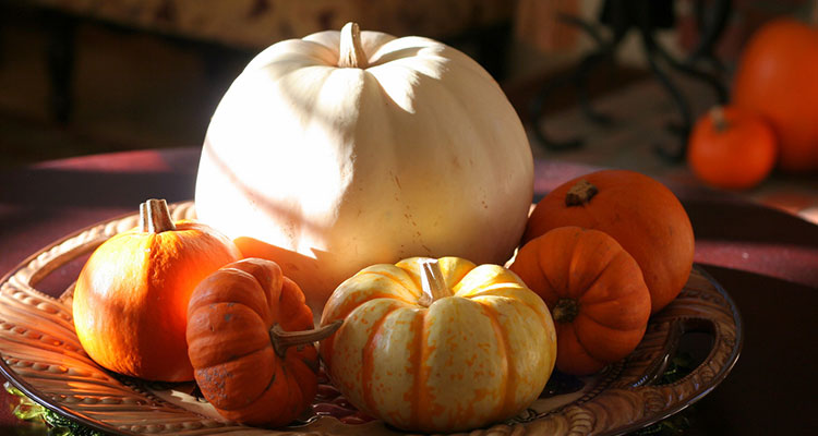 Great Pumpkin Recipes from Soup to Pizza to Pumpkin Pie - K12 - Learning Liftoff - Free Parenting, Education, and Homeschooling Resources