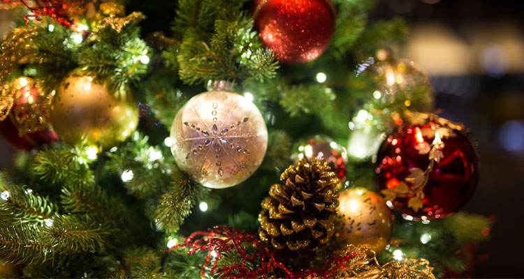 5 trendy christmas decorating ideas learning liftoff 5 trendy christmas decorating ideas learning liftoff