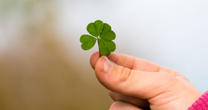 Travel to Ireland Without a Suitcase on St. Patrick’s Day