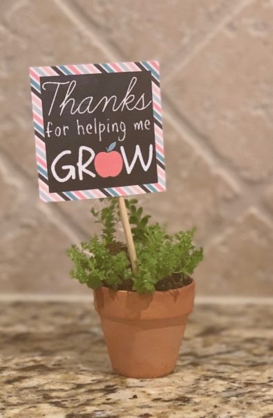 plant with thank you note