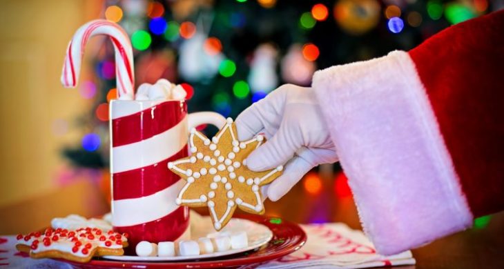 santa taking gingerbread cookie