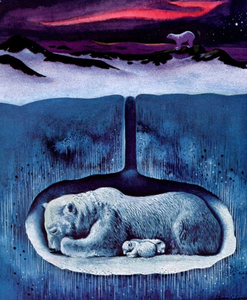 How Animals Survive Winter - Learning Liftoff How Animals Survive Winter - Learning Liftoff