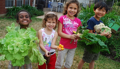 22013Garden_Harvest