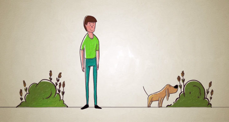 TED Ed: Dogs' Sense of Smell Allows Them to 'See' - Learning Liftoff