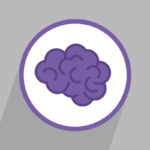 Teen Brain