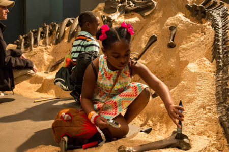 girl digging bones