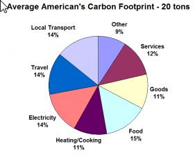 pie chart of average american's carbon footprint - 20 tons
