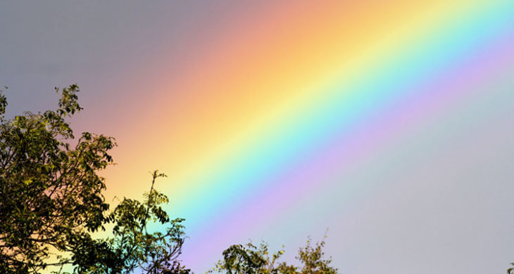 Learn the science behind the rainbow with three science tricks.