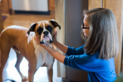 Elayna petting a dog