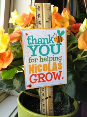 ruler in plant with thank you note