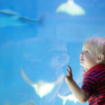 Toddler at aquarium