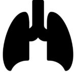 Lungs