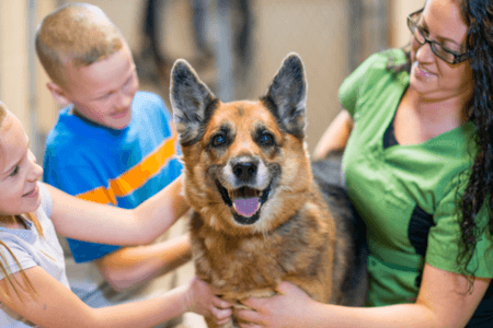 kids at an animal shelter enjoying benefits of pets