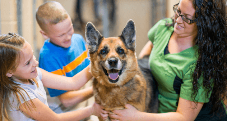 kids at an animal shelter enjoying benefits of pets