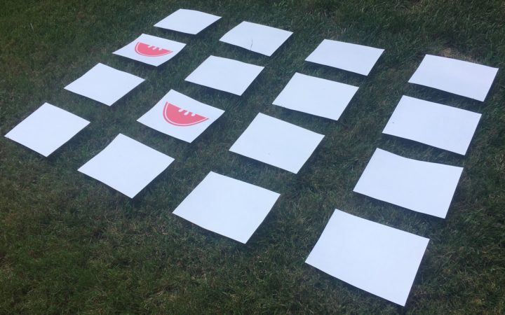 picture cards laid out on a lawn