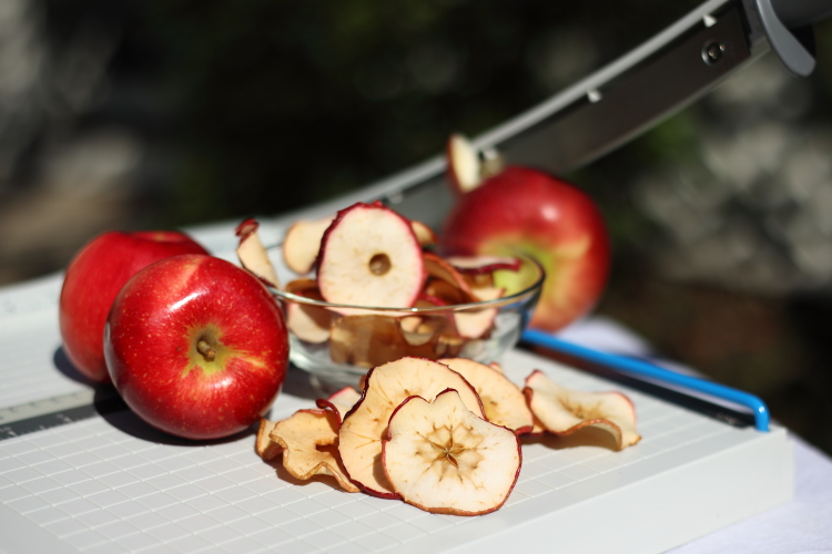 Baked apple slices on a tray