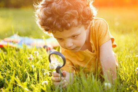 Young boy looking at flower through magnifier
