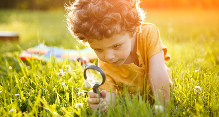 Young boy looking at flower through magnifier