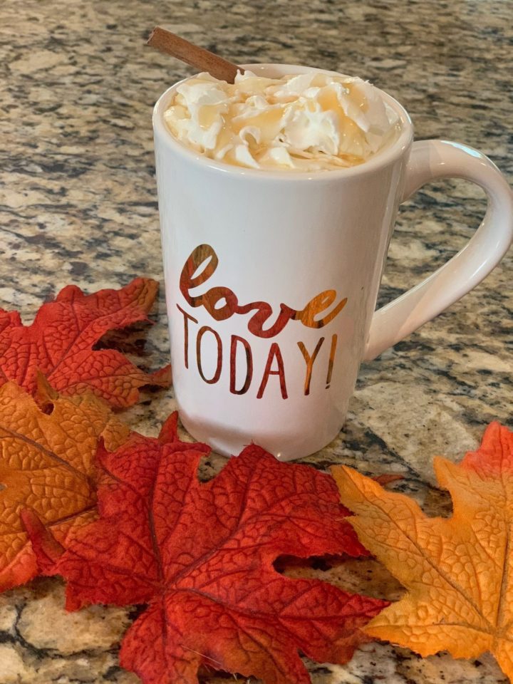 mug with apple cider and whipped cream