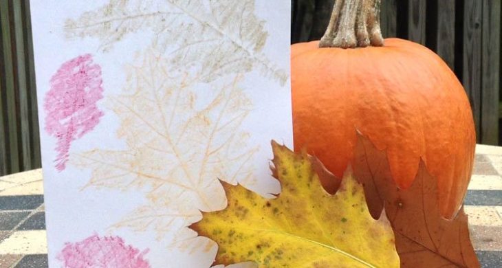 leaf by leaf etchings