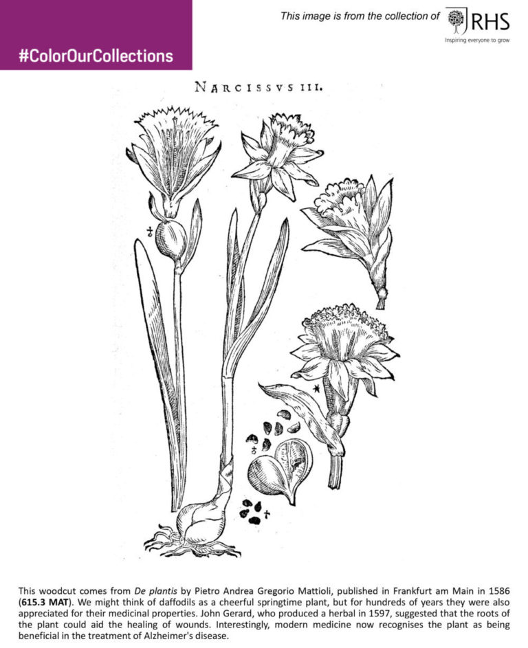 Royal Horticultural Society Libraries Coloring page 2019