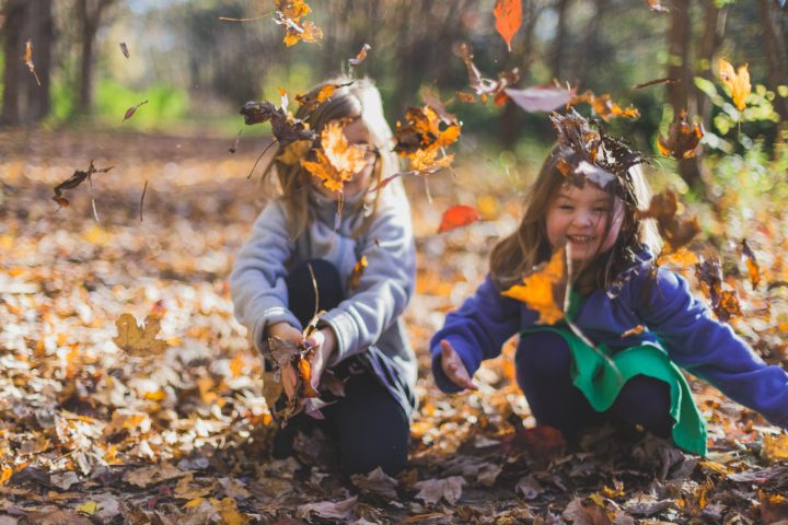 Fill your November planners with these fun learning activities